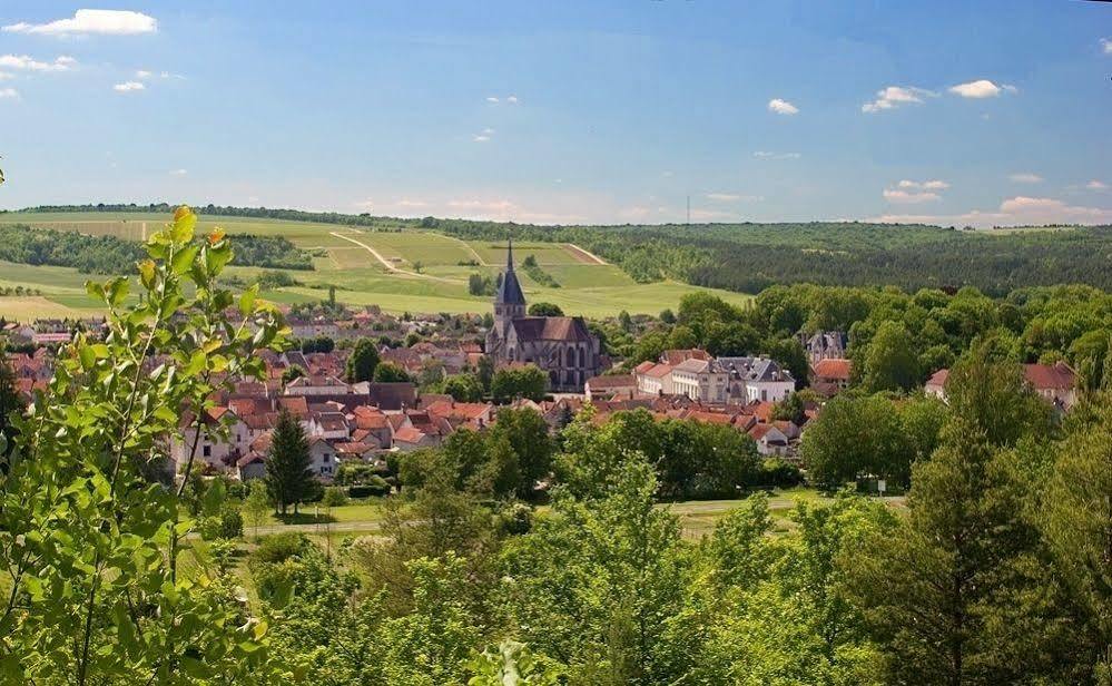 Bed and Breakfast La Promenade Mussy-sur-Seine Exterior foto