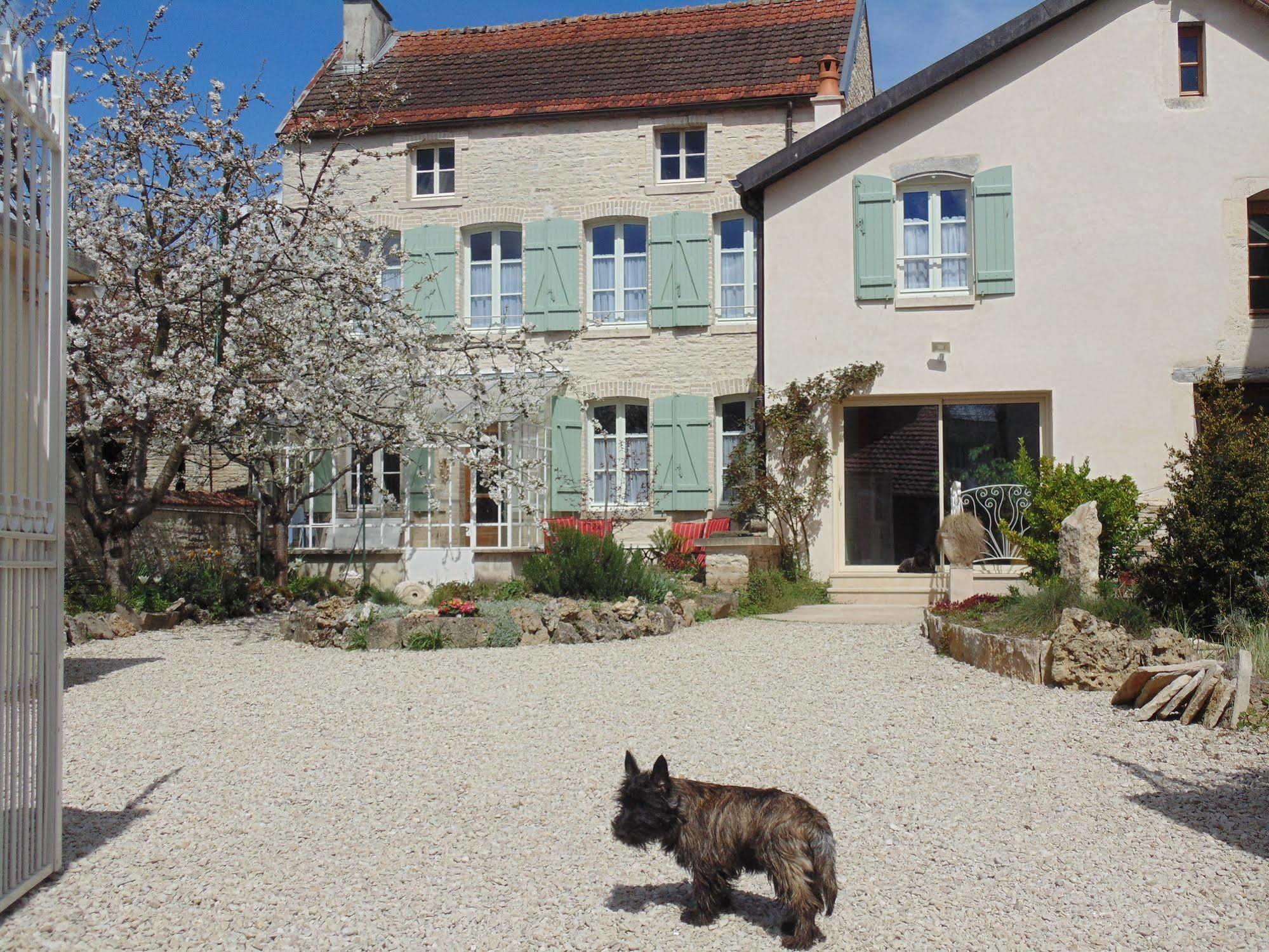 Bed and Breakfast La Promenade Mussy-sur-Seine Exterior foto